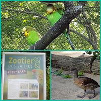 Zoo Magdeburg_Nicole Oelze_Jerry_Buch_Wellensittich_03